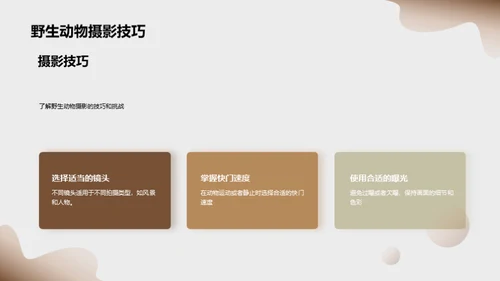 探索非洲野生动物之旅