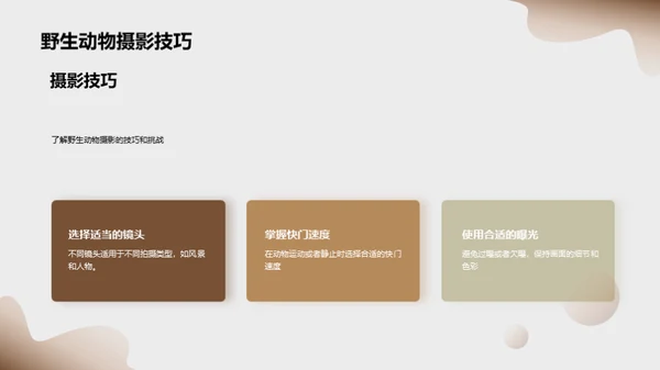 探索非洲野生动物之旅