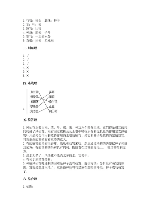 教科版科学四年级下册第一单元《植物的生长变化》测试卷名师推荐