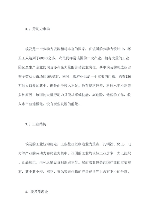 关于埃及的调研报告