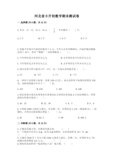 河北省小升初数学期末测试卷精品.docx