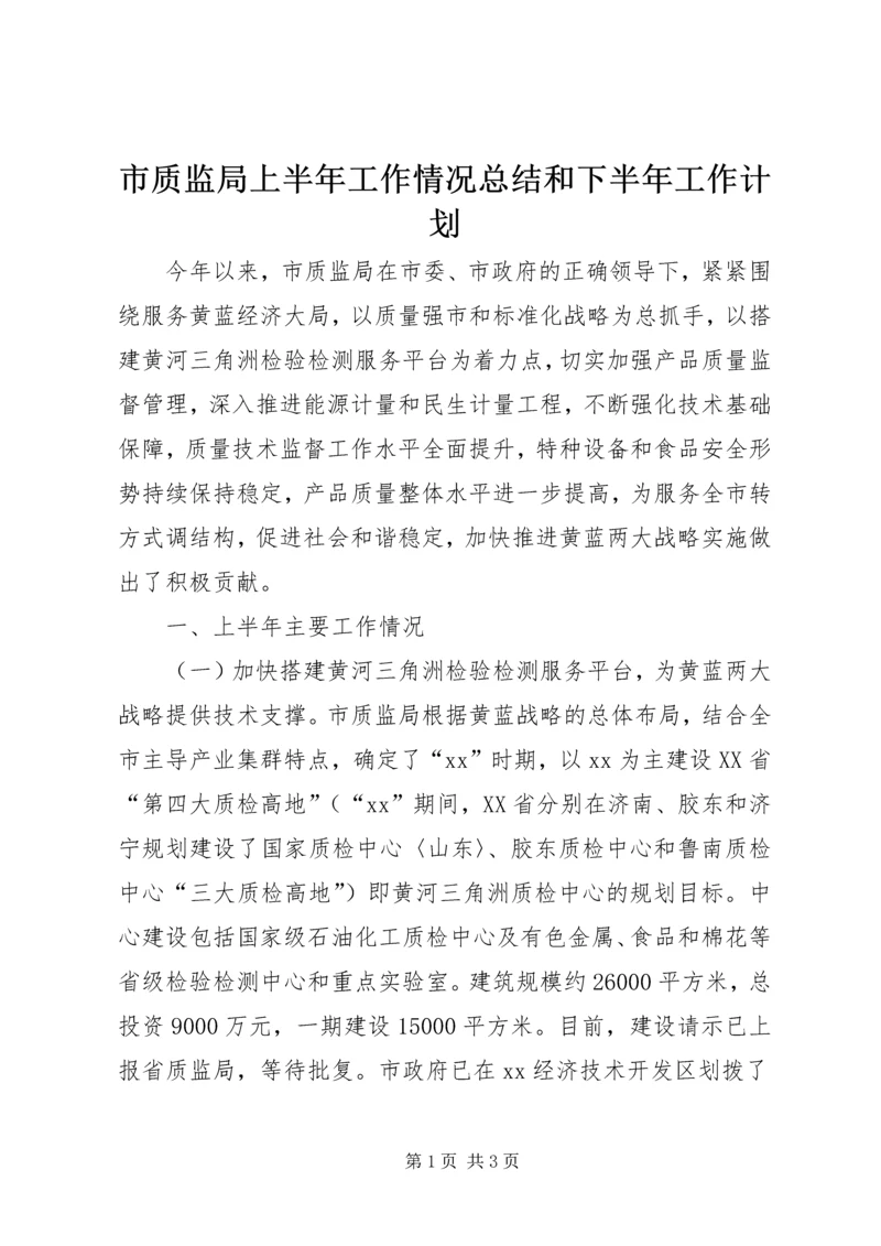 市质监局上半年工作情况总结和下半年工作计划.docx