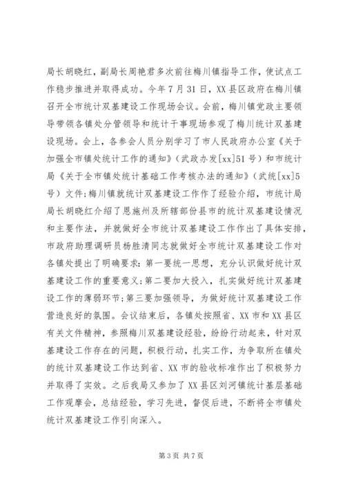 乡镇统计员个人工作总结.docx
