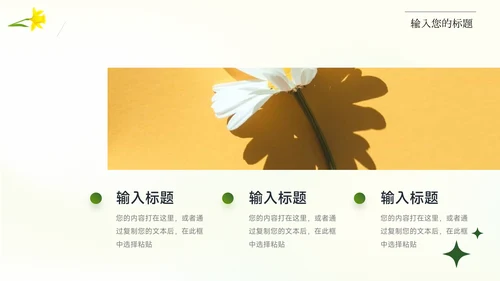 绿色弥散阴影服装品牌介绍PPT模板