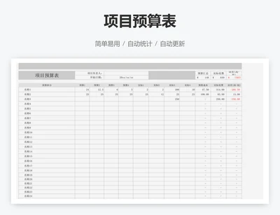 项目预算表