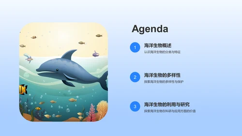 蓝色摄影风海洋生物知识科普PPT模板