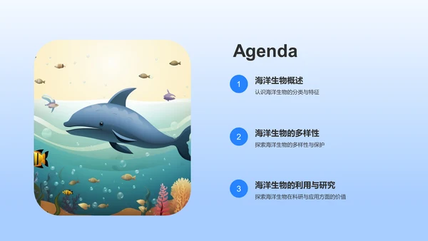 蓝色摄影风海洋生物知识科普PPT模板