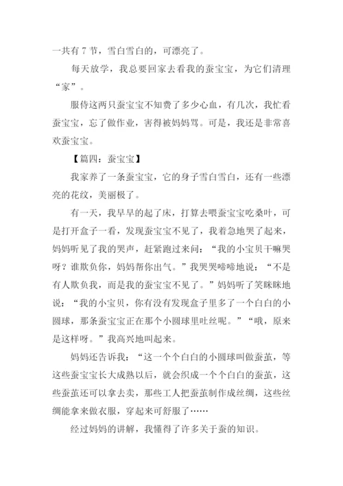 蚕宝宝作文300字.docx