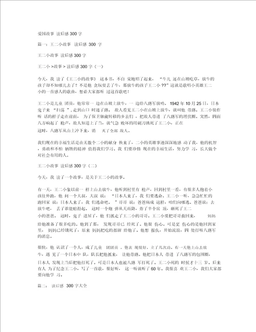 爱国故事读后感300字