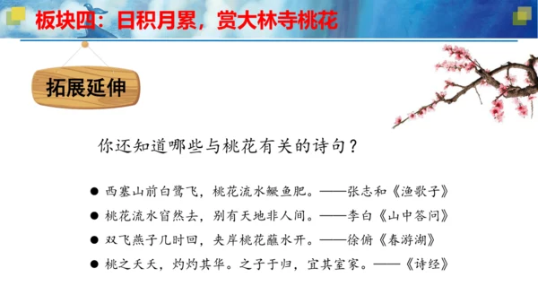 统编版三年级语文下册大单元教学第八单元教学课件-