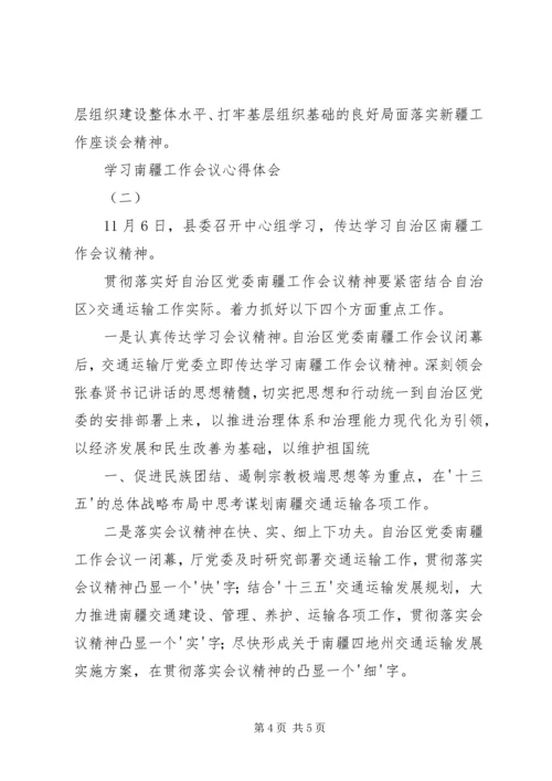 学习南疆工作会议心得体会 (2).docx