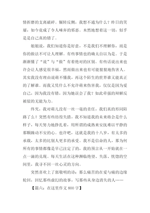 在这里作文800字.docx
