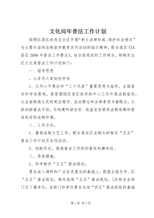 文化局年普法工作计划 (2).docx