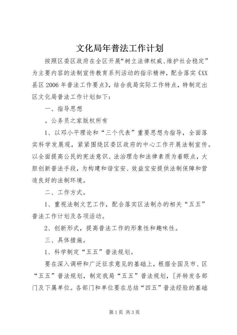 文化局年普法工作计划 (2).docx