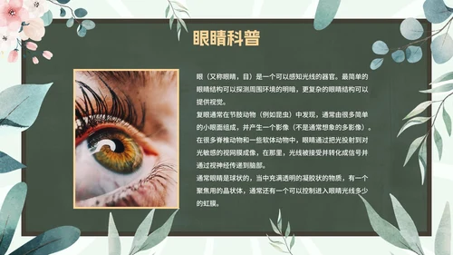 爱眼护眼科普主题教育PPT模板