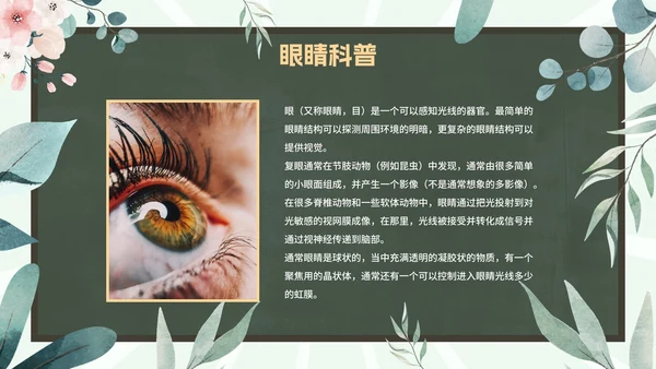 爱眼护眼科普主题教育PPT模板