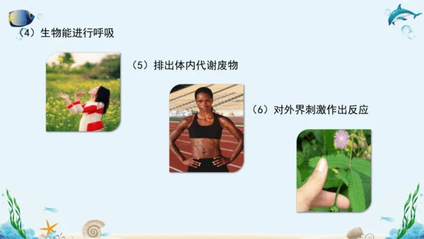 1.1《认识生物》复习课件(18张PPT)