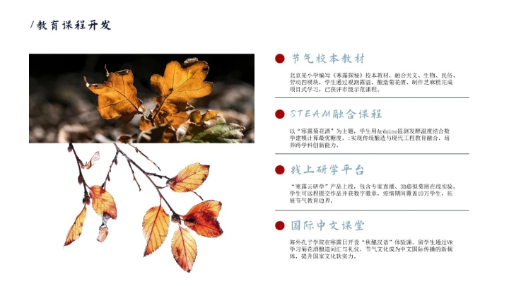 瓷青色简约风寒露节气PPT模版