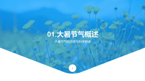 大暑节气的教育探索