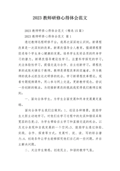 2023教师研修心得体会范文.docx