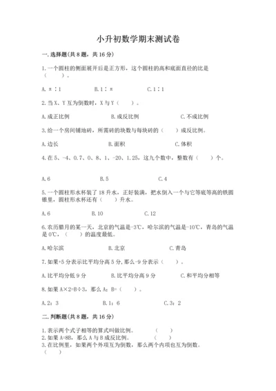 小升初数学期末测试卷加答案.docx