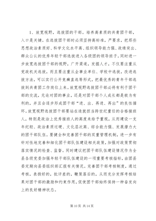 共青团干部队伍建设的调查与思考团县委解放思想调研文章 (2).docx