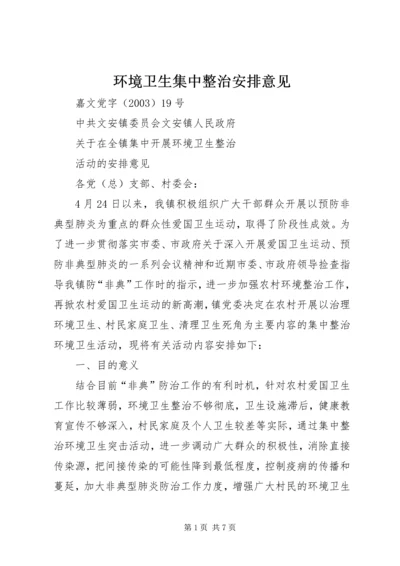 环境卫生集中整治安排意见 (2).docx