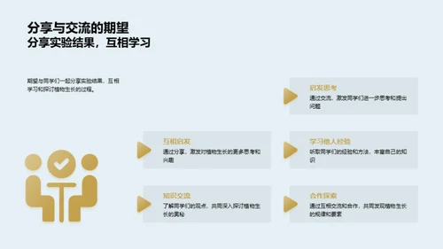 植物生长的秘密世界