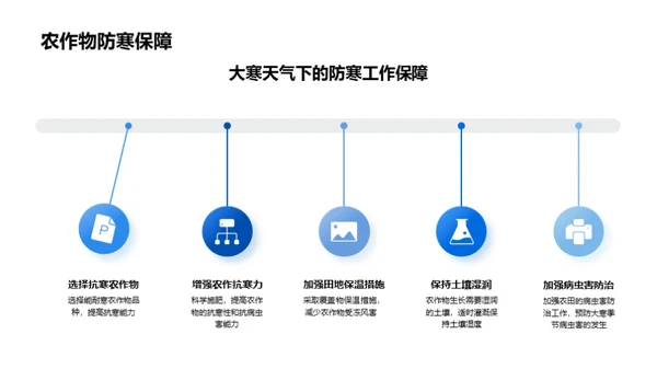 大寒季节农作物防护