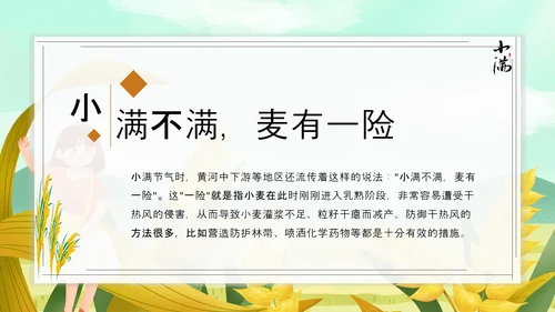 食粮丰收麦穗小满PPT模板
