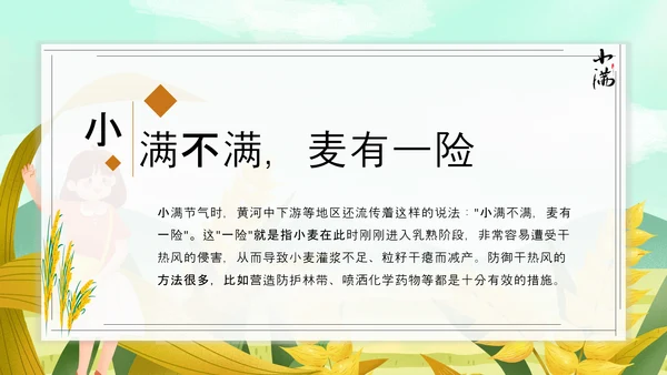 食粮丰收麦穗小满PPT模板
