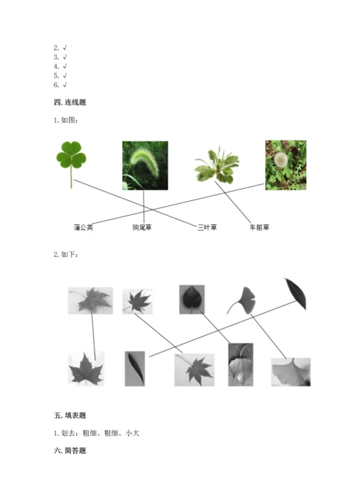 教科版科学一年级上册第一单元《植物》测试卷及完整答案【考点梳理】.docx