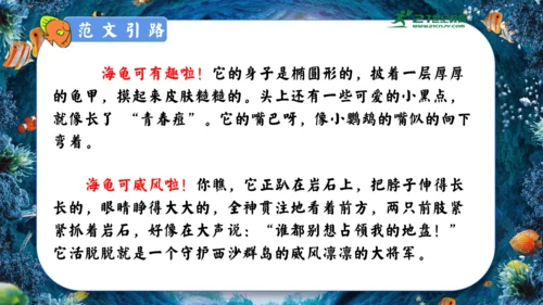 18.富饶的西沙群岛  课件