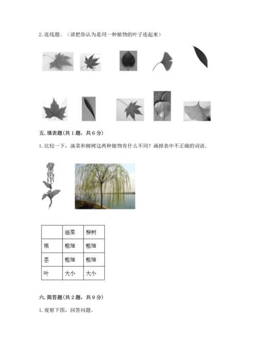 教科版科学一年级上册第一单元《植物》测试卷【各地真题】.docx