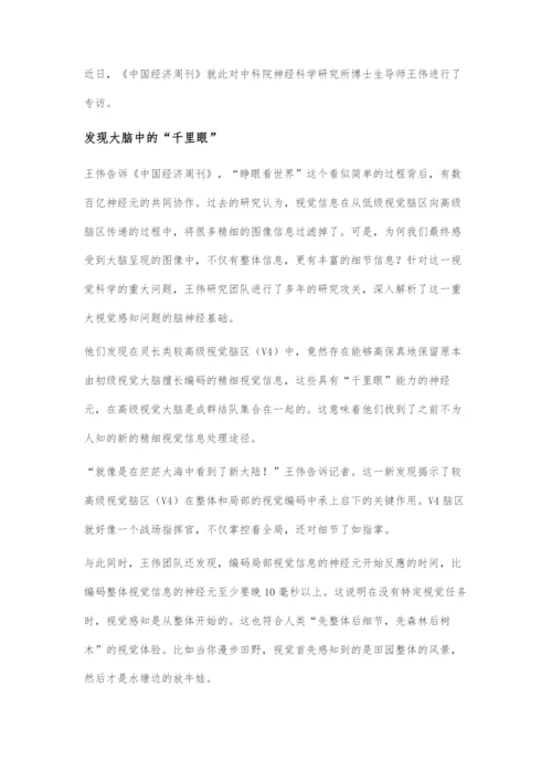 中国科学家发现精细视觉新机制将助力人工智能发展.docx