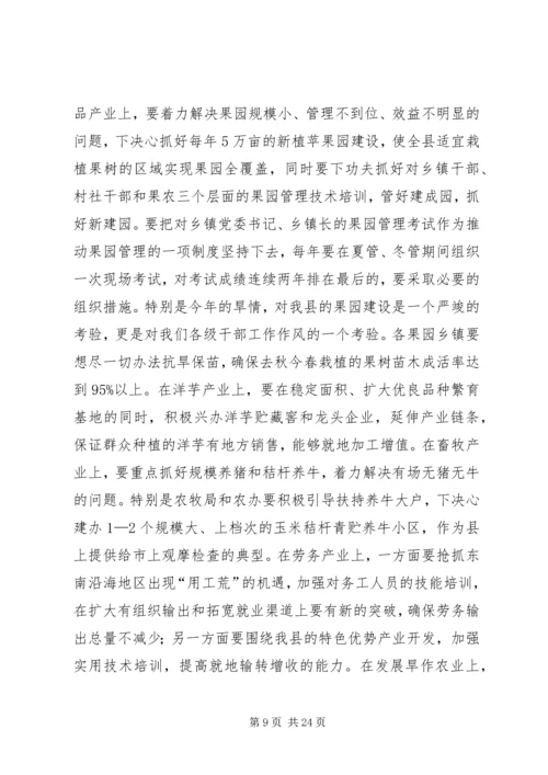 县政府全体会议和项目建设工作会议讲话稿精编.docx