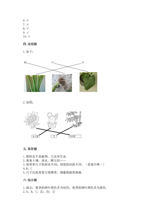 教科版一年级上册科学期末测试卷及精品答案.docx