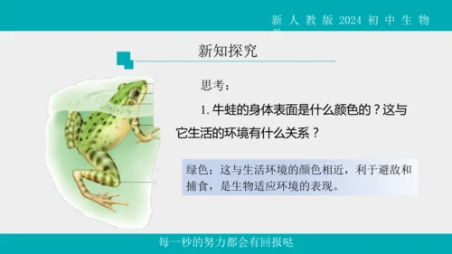 人教版生物七年级上册2.2.2《脊椎动物》（第1课时）课件(共42张PPT)+视频素材