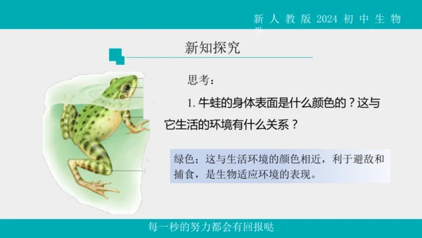 人教版生物七年级上册2.2.2《脊椎动物》（第1课时）课件(共42张PPT)+视频素材