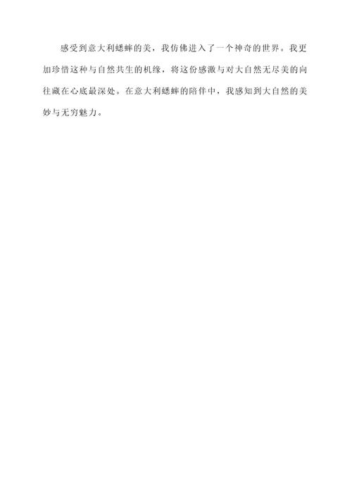 意大利蟋蟀的感想