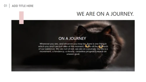 吸猫宠物猫咪日记通用PPT模板