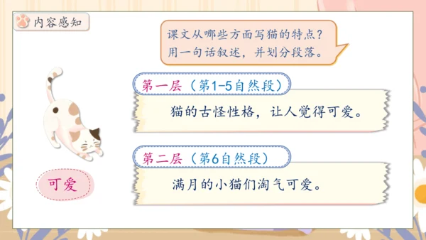 【核心素养】部编版语文四年级下册-13.猫 第1课时（课件）