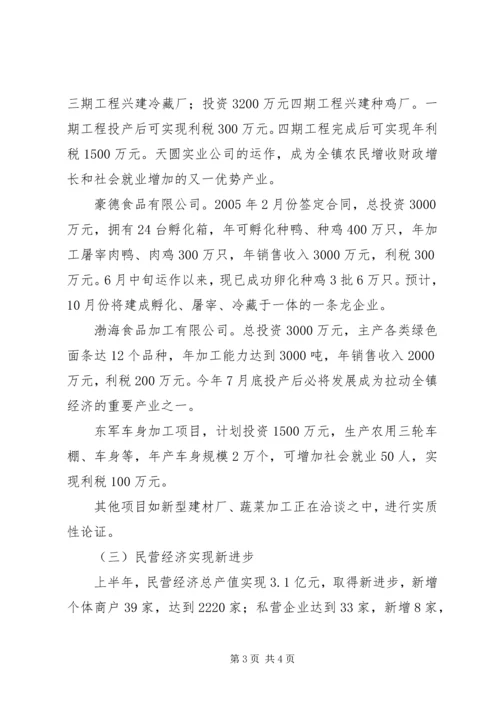 某镇关于工作总结及下半年工作计划的报告 (3).docx