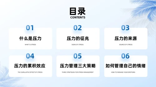 蓝色商务实拍风压力与情绪管理员工培训PPT