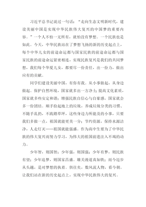 放飞中国梦作文-2.docx