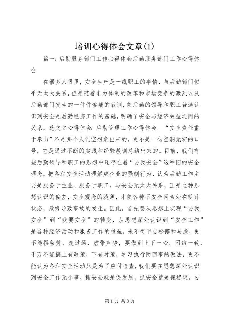 培训心得体会文章(4).docx