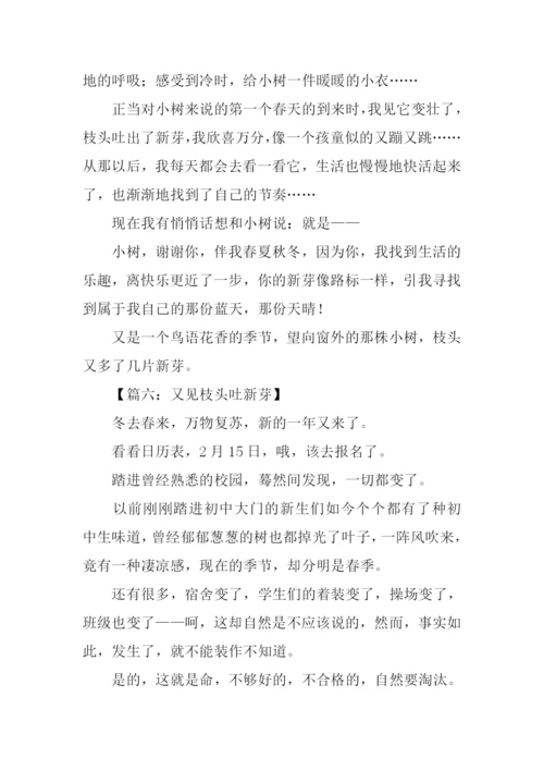 又见枝头吐新芽作文500字.docx