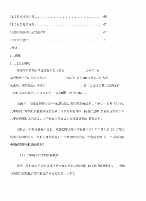 湛江替代石油能源公司万吨二甲醚项目建议书