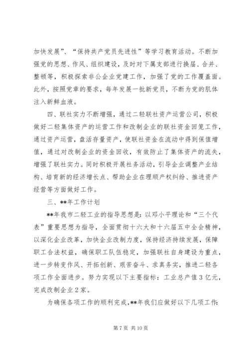 二轻年度总结及计划.docx