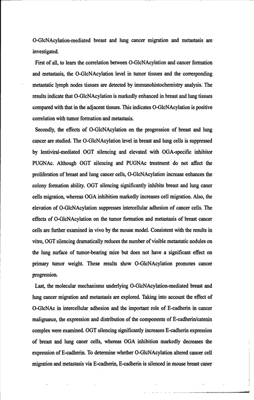 ac糖基化修饰在肿瘤发生与转移过程中的作用及其机制研究